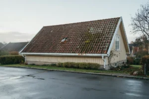s skyddar du taket mot mossa och alger enkla tg rder som f rl nger livsl ngden